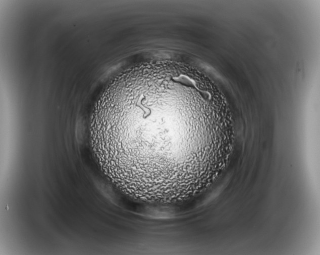 X0000086240359200704121938