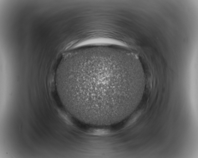 X0000086240360200704121938