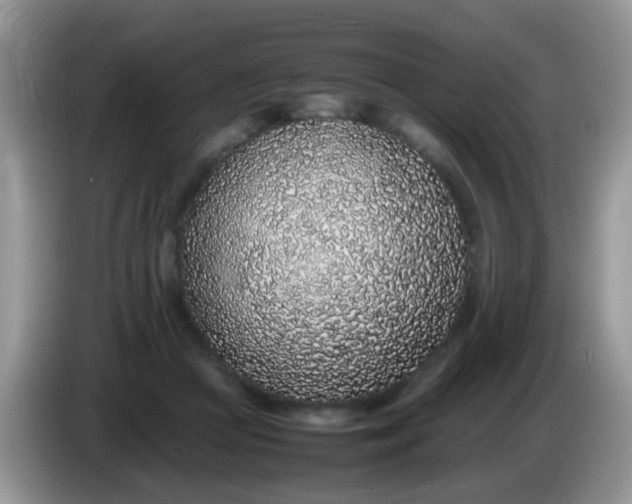 X0000086240361200704121938
