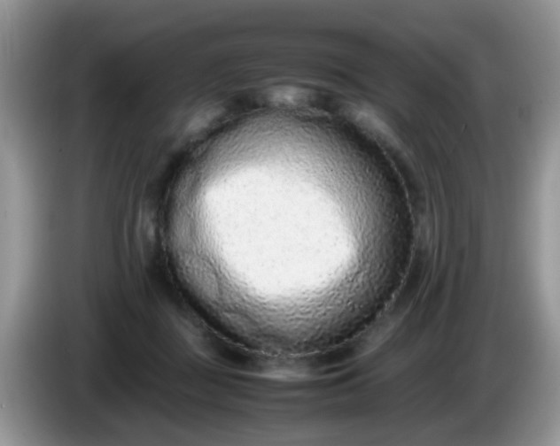X0000086240363200704121938