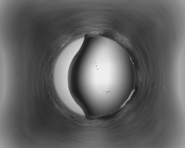 X0000086240364200704121938
