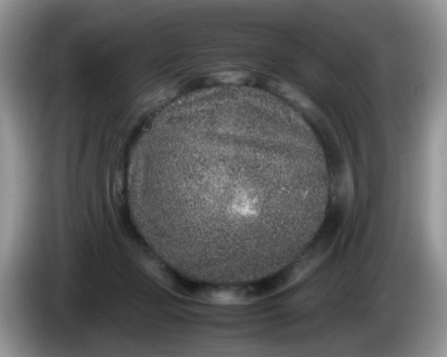 X0000086240365200704121938