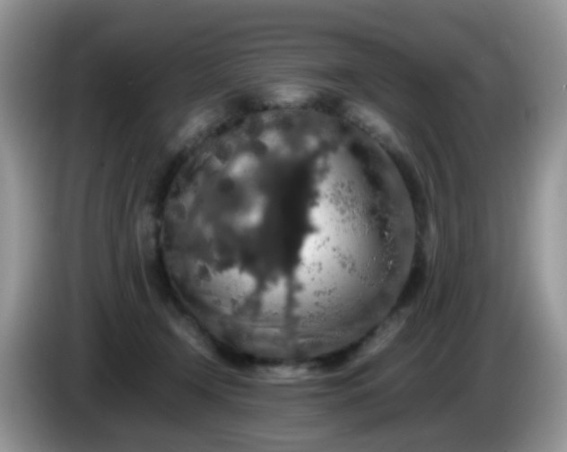 X0000086240366200704121938