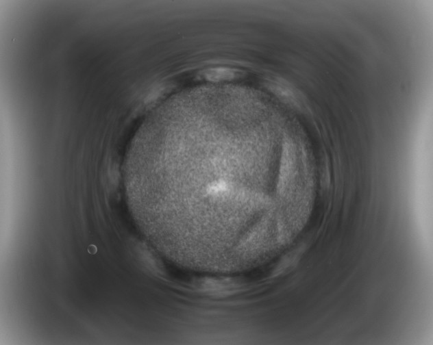 X0000086240367200704121938