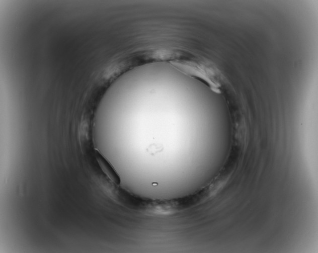 X0000086240368200704121938