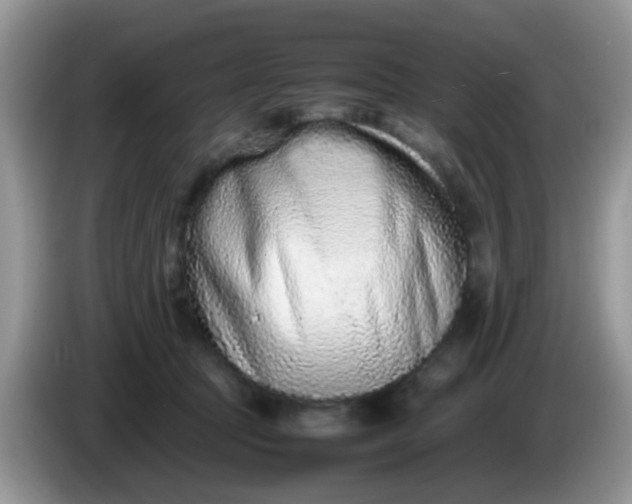 X0000086240369200704121938
