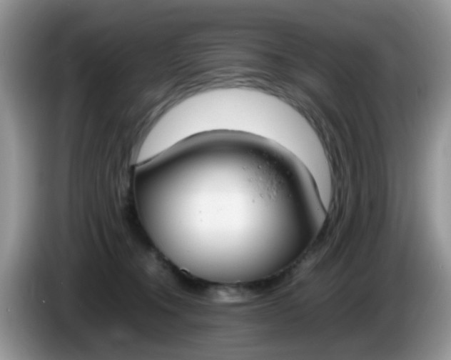 X0000086240372200704121938