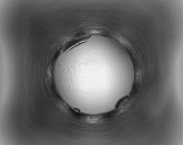 X0000086240373200704121938