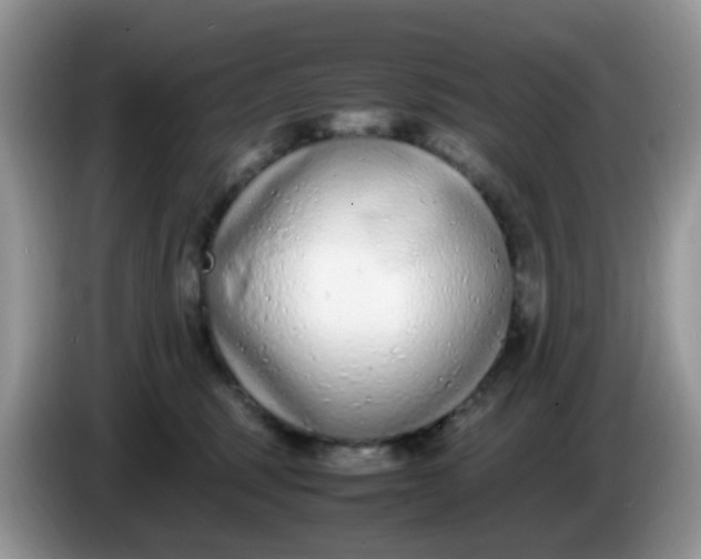 X0000086240375200704121938