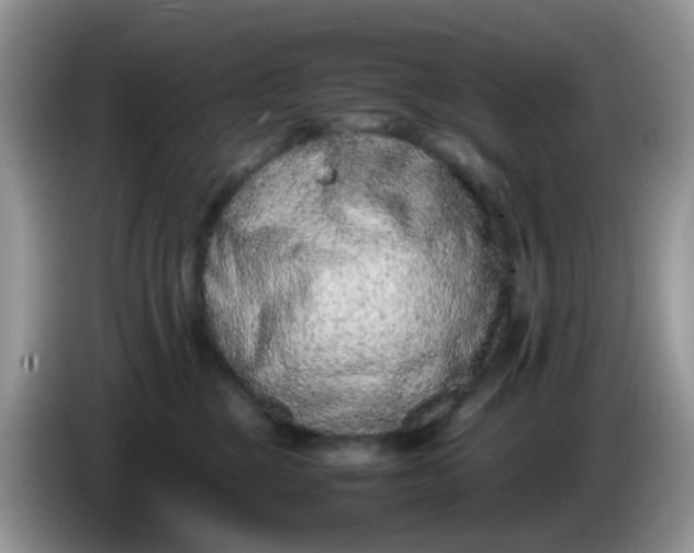 X0000086240377200704121938
