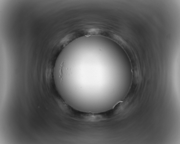 X0000086240379200704121938
