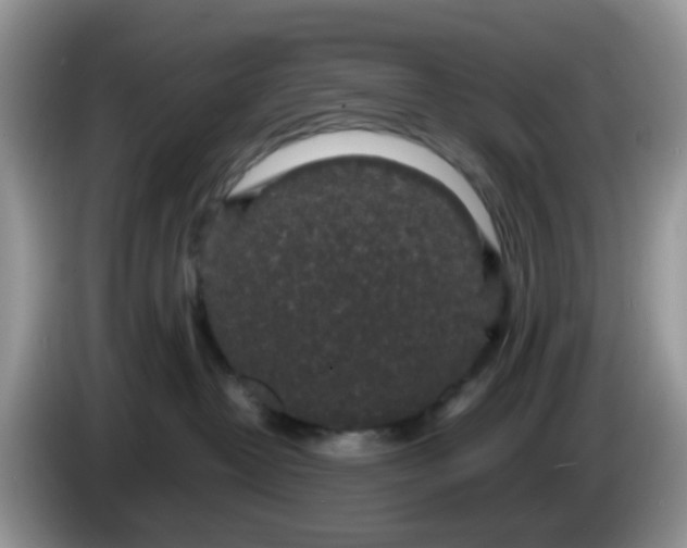 X0000086240382200704121938