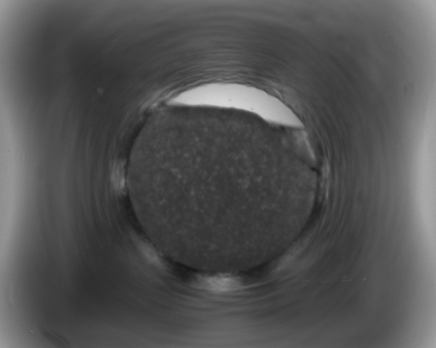 X0000086240383200704121938