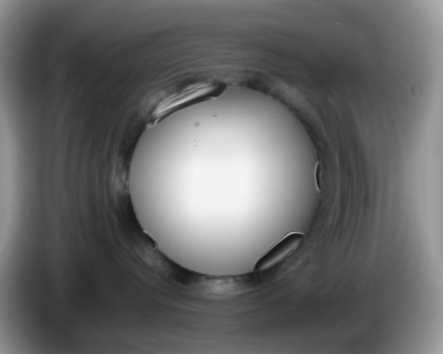 X0000086240384200704121938