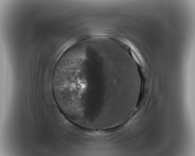 X0000086240385200704121937