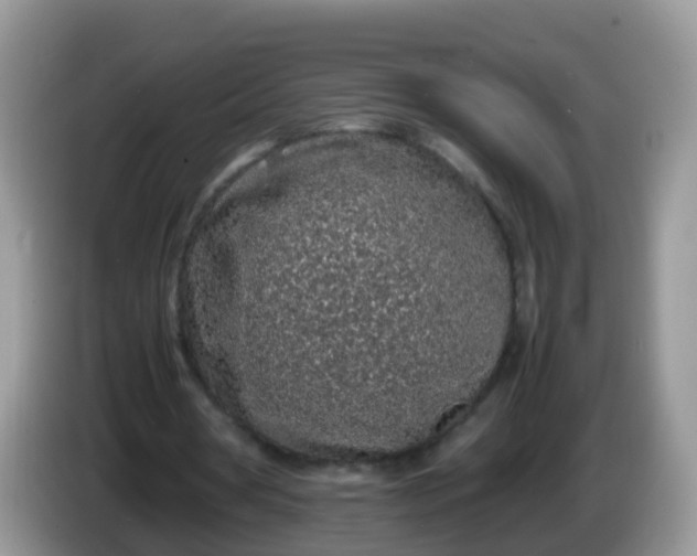 X0000086240386200704121937