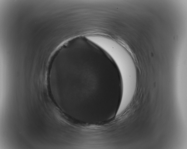 X0000086240387200704121937