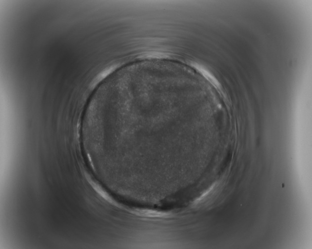 X0000086240389200704121937