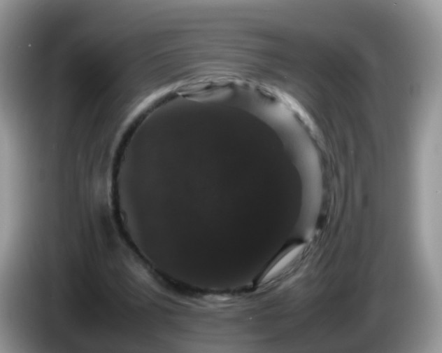 X0000086240391200704121937