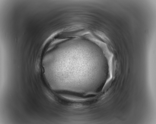 X0000086240392200704121937