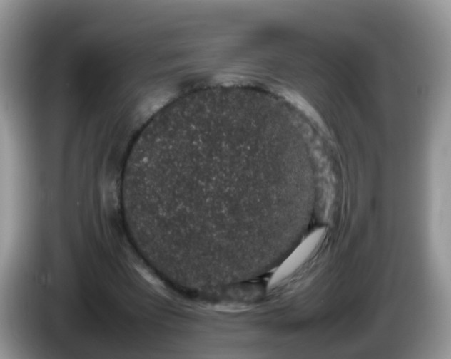 X0000086240393200704121937