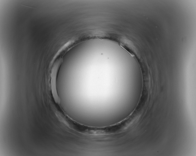 X0000086240395200704121937