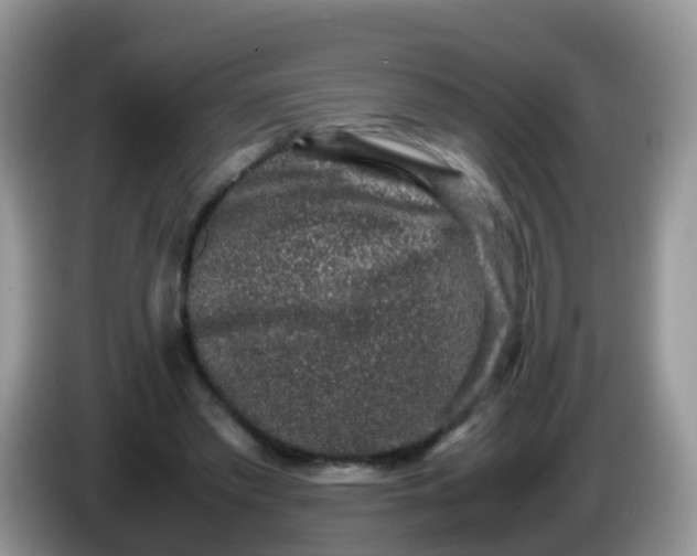 X0000086240397200704121937