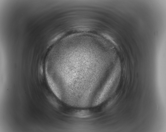 X0000086240398200704121937