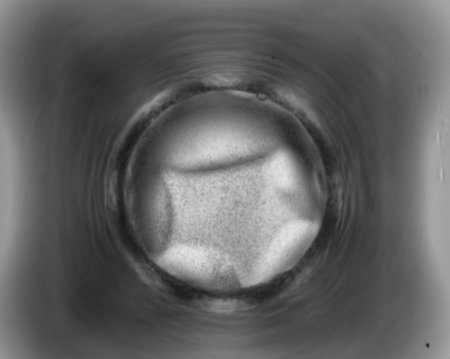 X0000086240400200704121937