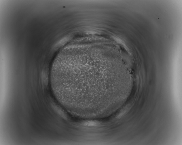 X0000086240402200704121937