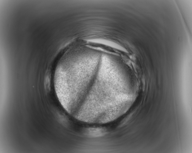 X0000086240404200704121937