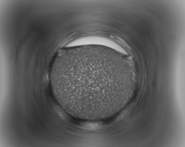 X0000086240405200704121937