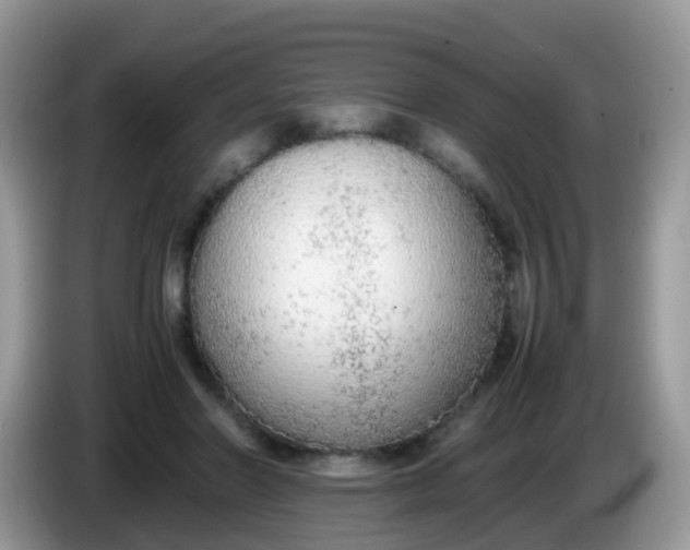 X0000086240406200704121937