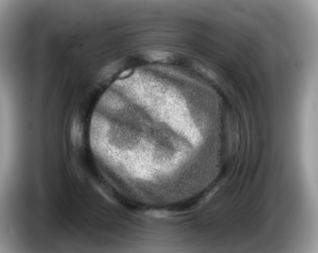 X0000086240408200704121937