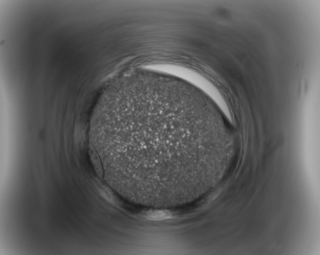 X0000086240409200704121937