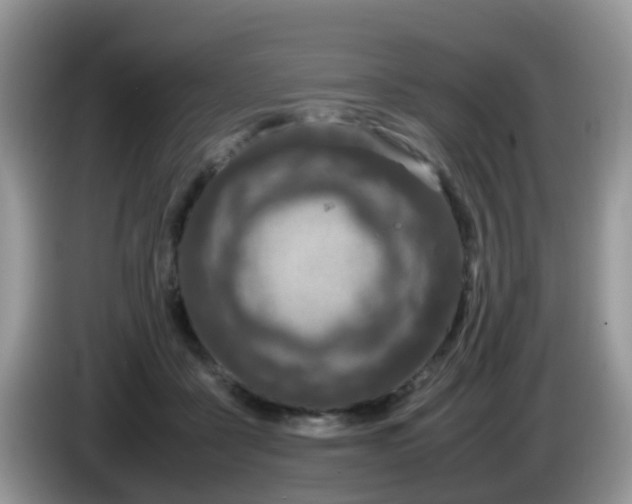 X0000086240411200704121937