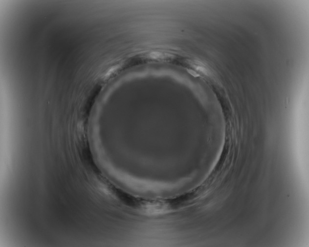 X0000086240415200704121937