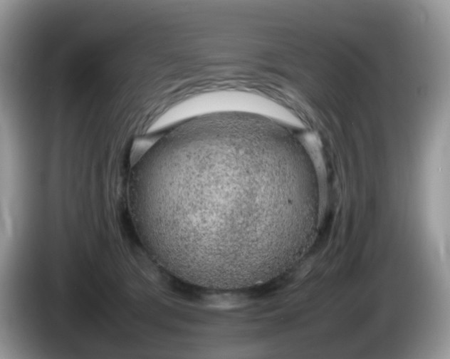 X0000086240417200704121937