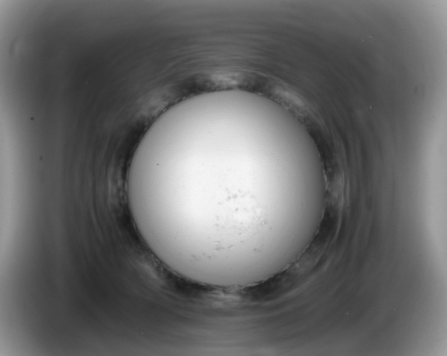 X0000086240418200704121937