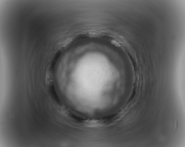 X0000086240419200704121937