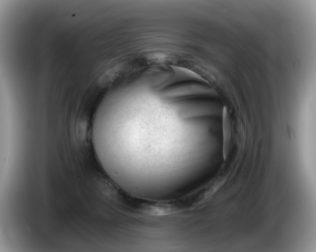 X0000086240420200704121937