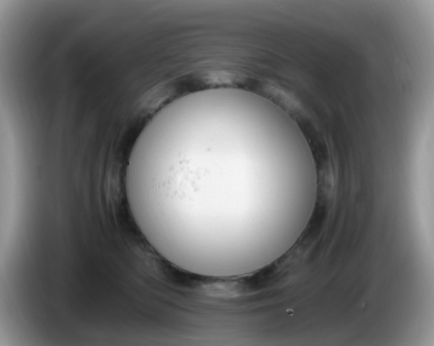 X0000086240422200704121937
