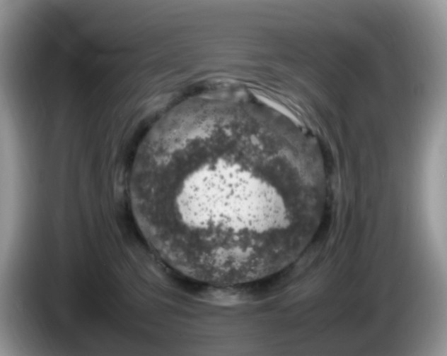 X0000086240423200704121937