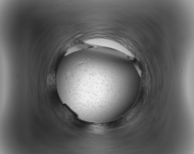 X0000086240425200704121937