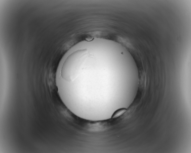 X0000086240430200704121937