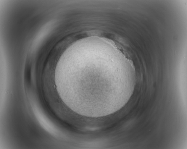 X0000086240431200704121937