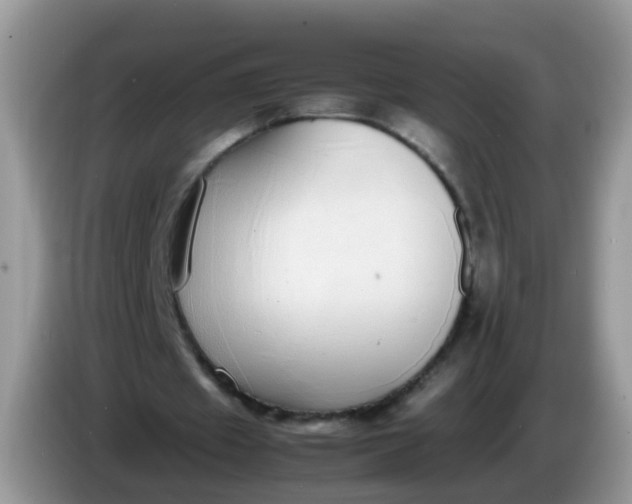 X0000086240433200704121936