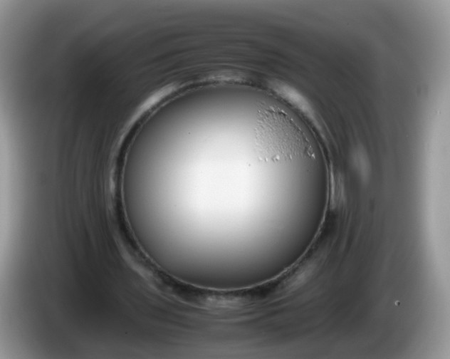 X0000086240435200704121936