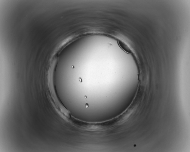 X0000086240437200704121936
