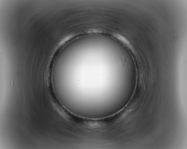 X0000086240439200704121936